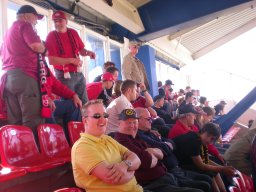 33 Spieltag 1.FCN vs. Borussia Dortmund