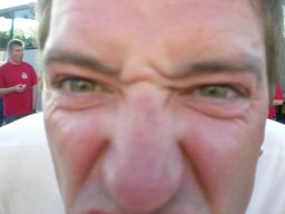 33 Spieltag 1.FCN vs. Borussia Dortmund