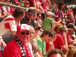 33. Spieltag .FCN vs. Hoffenheim